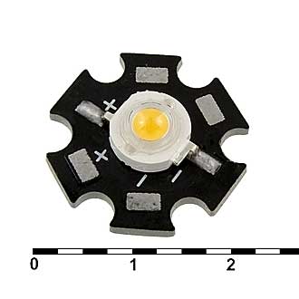 59504